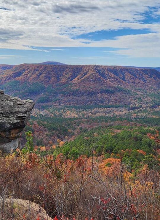Arkansas Arkansas
