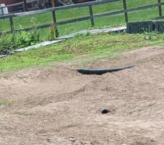 mikes r/c tracks