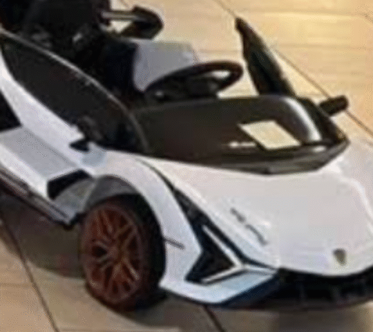 Motor Sports/ Rc Toys llc